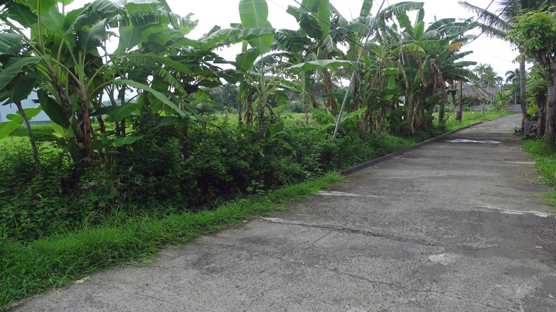 freehold land for sale north bali