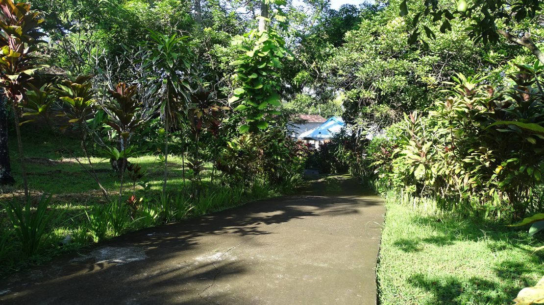 Bali Villa Garden