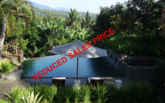 Bali Villa reduced sales price