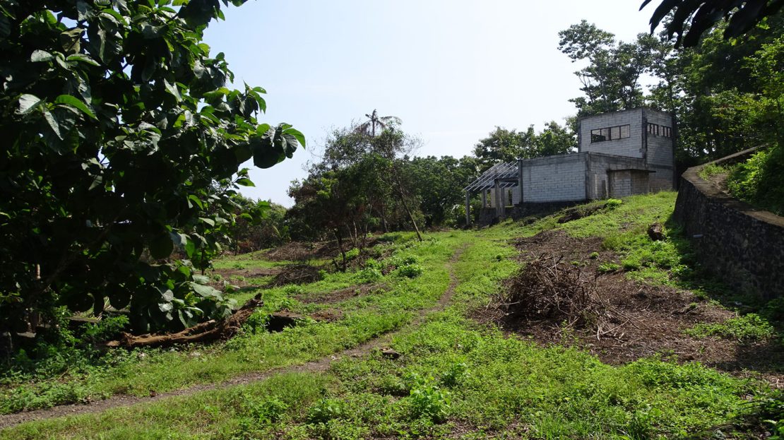 Bali hillside ocean view land