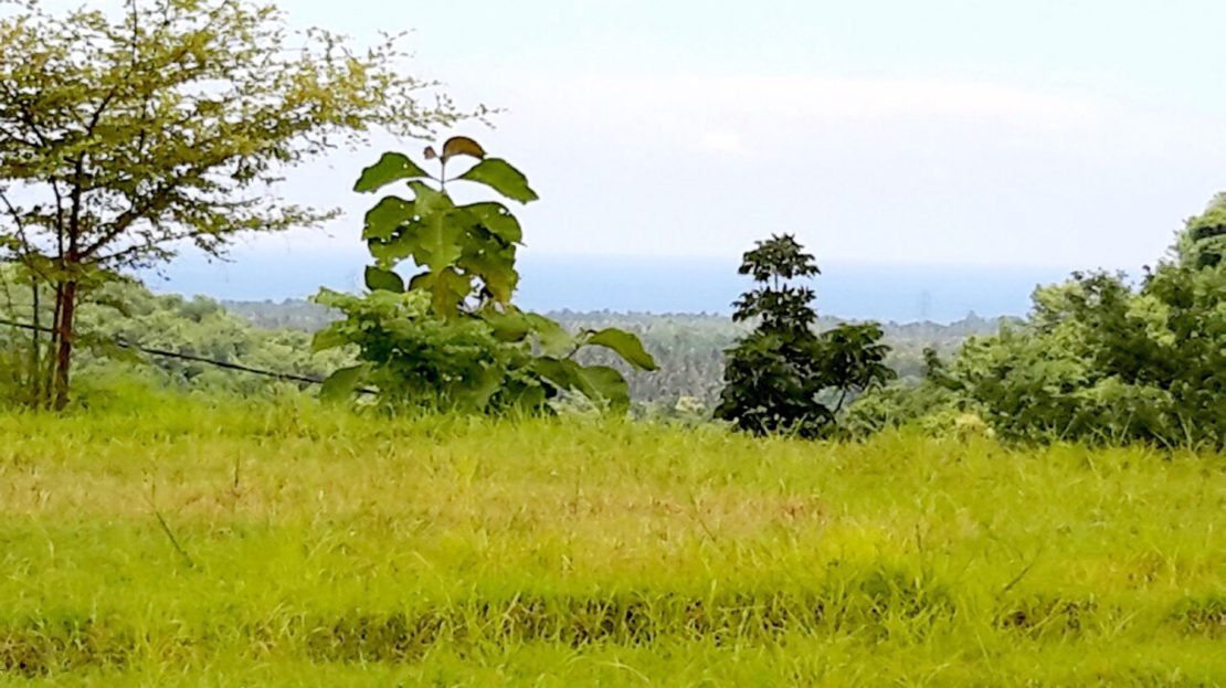 north bali sea view land for sale