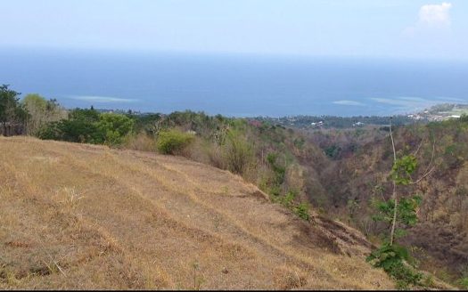 north bali ocean view land for sale