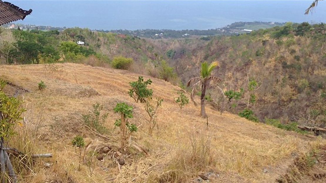 North Bali Lovina land with ocean view