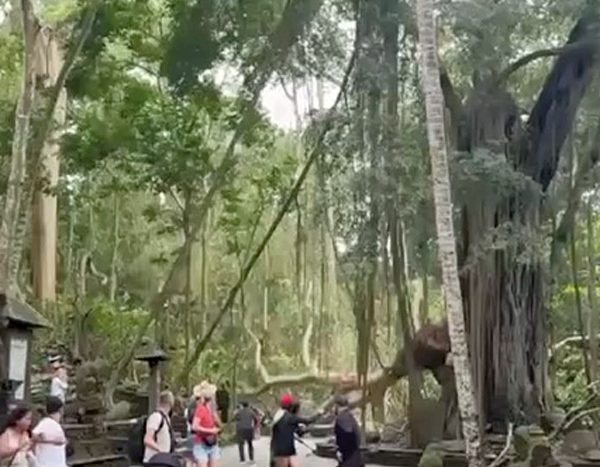 Ubud Monkey Forest