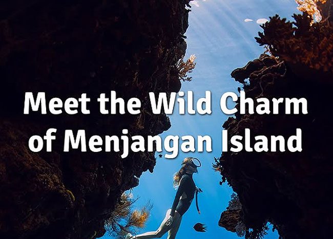 North Bali Diving