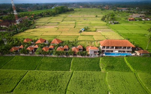 Bali Key Focus 2026
