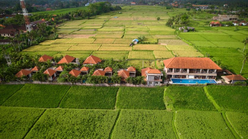 Bali Key Focus 2026